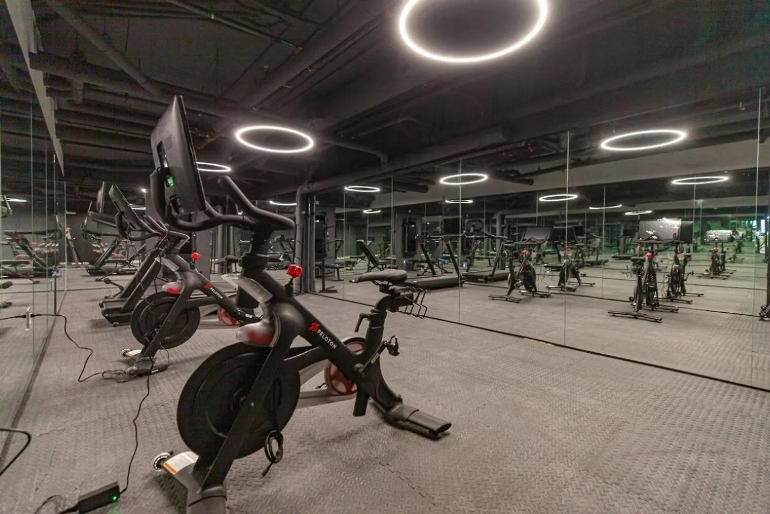 Culver City 1Br W Gym Roof In Walkable Area Lax-810 洛杉矶 0*,  美国